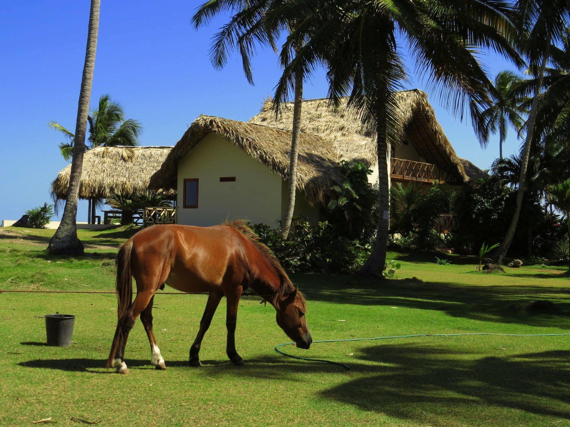Villa Punta Coral Эль-Франсес Экстерьер фото